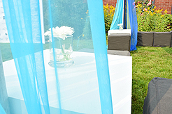 DAYLIGHT, DARK NIGHT AND BLUE SKIES WITH PAPA BUENO